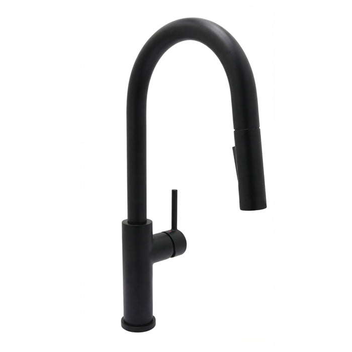 Euro Kitchen Faucet