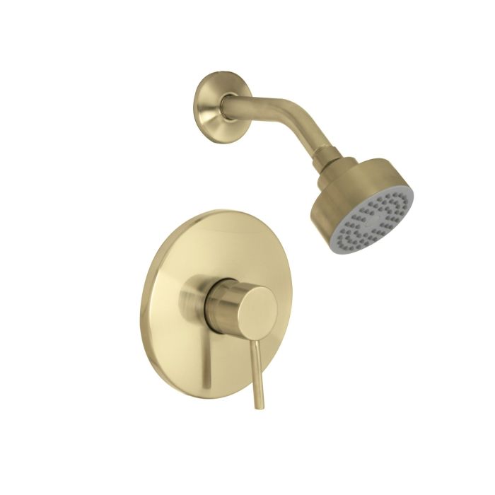 Euro Shower Trim
