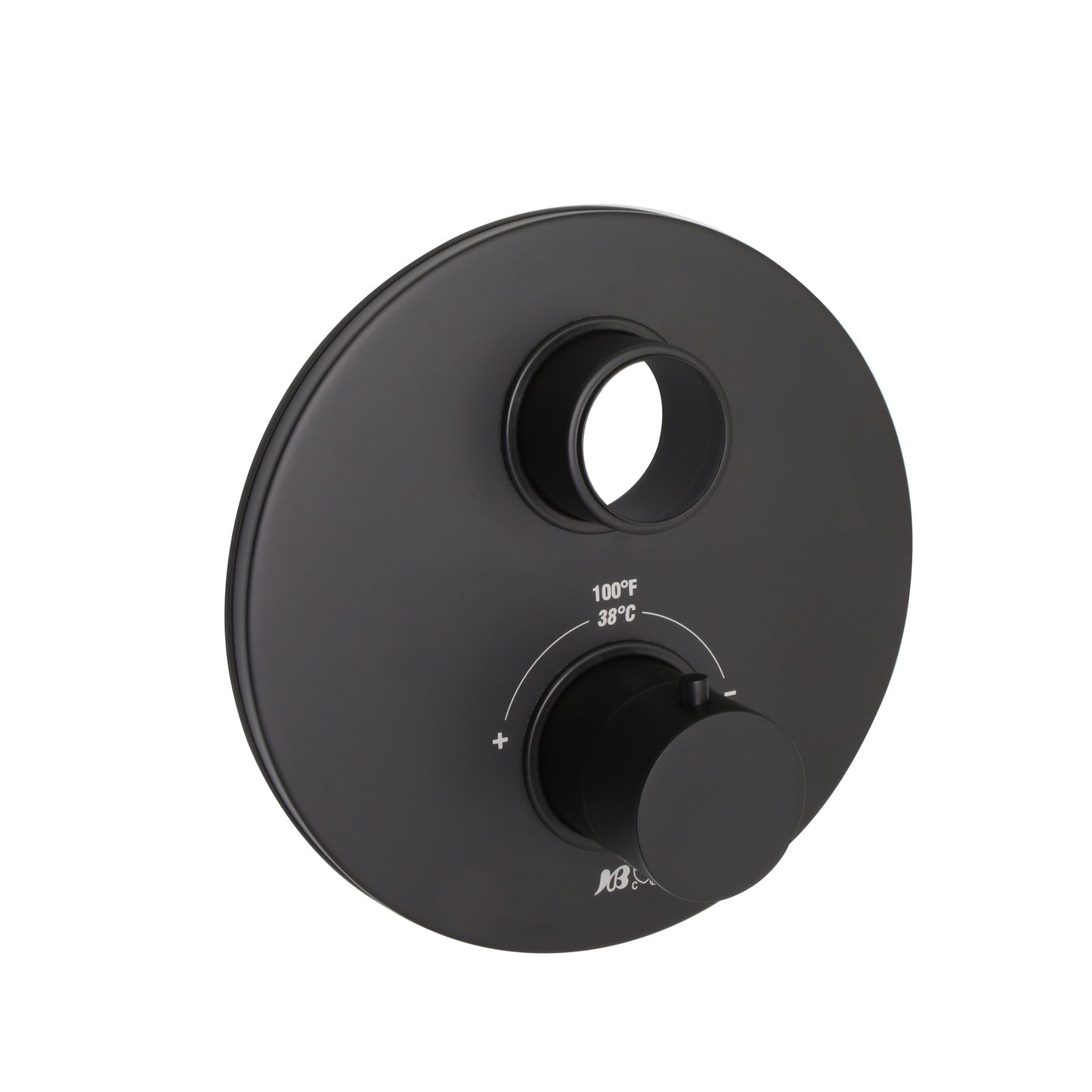 Thermostatic Face Plate Trim