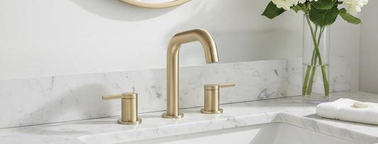 Faucet for the Guest Bathroom