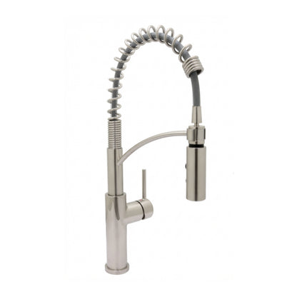 Euro-Pro Kitchen Faucet