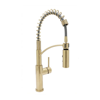Euro-Pro Kitchen Faucet