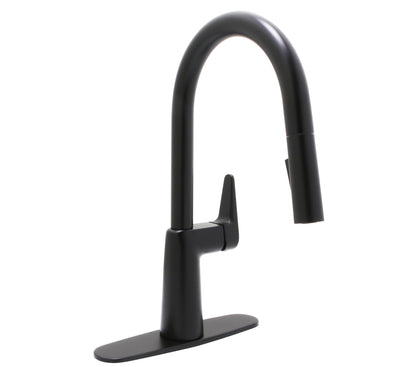 Loma Kitchen Faucet