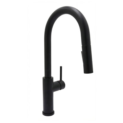 Euro Kitchen Faucet
