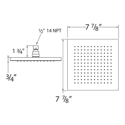 8" Shower Head