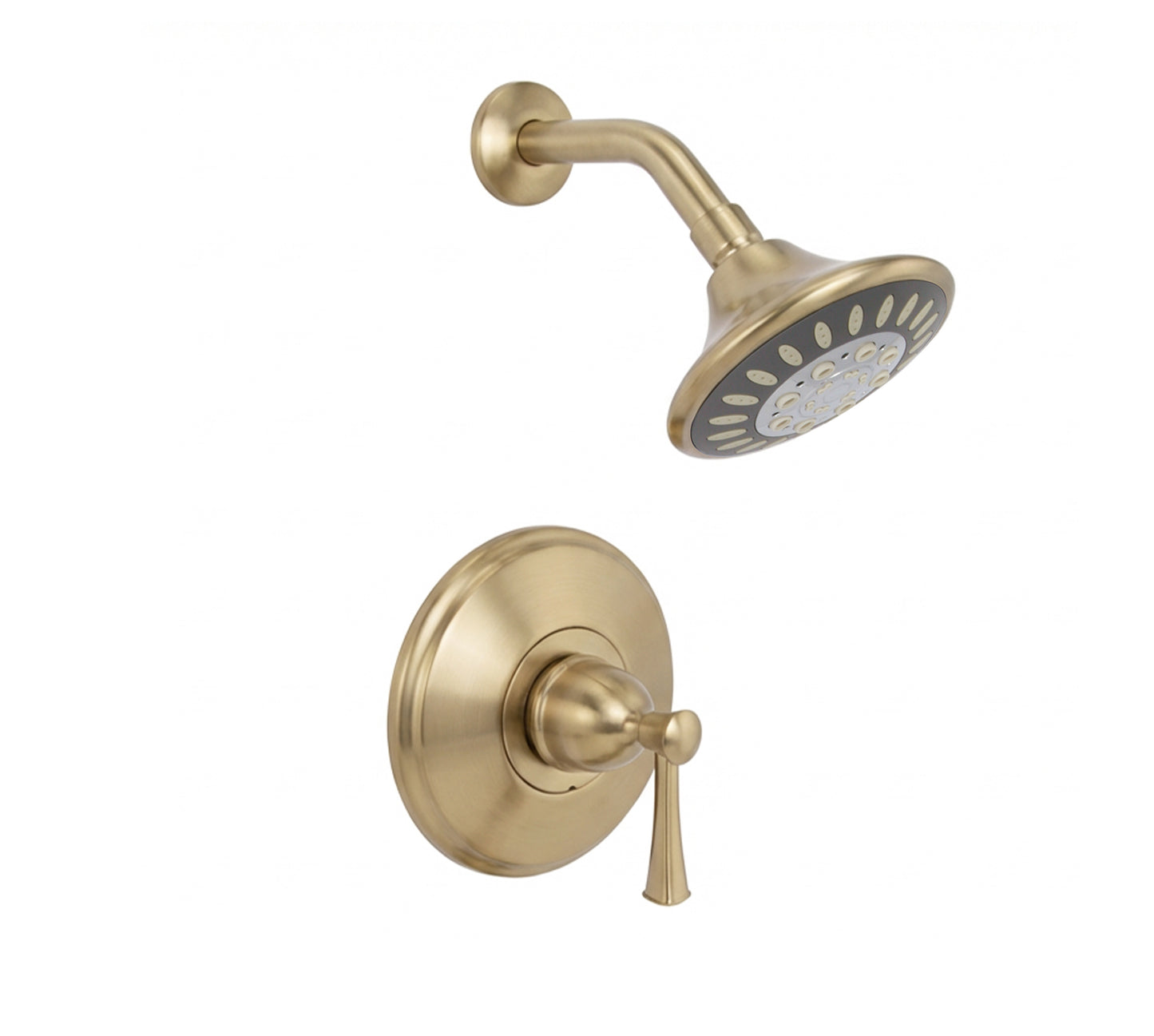 P6182816 Shower Trim