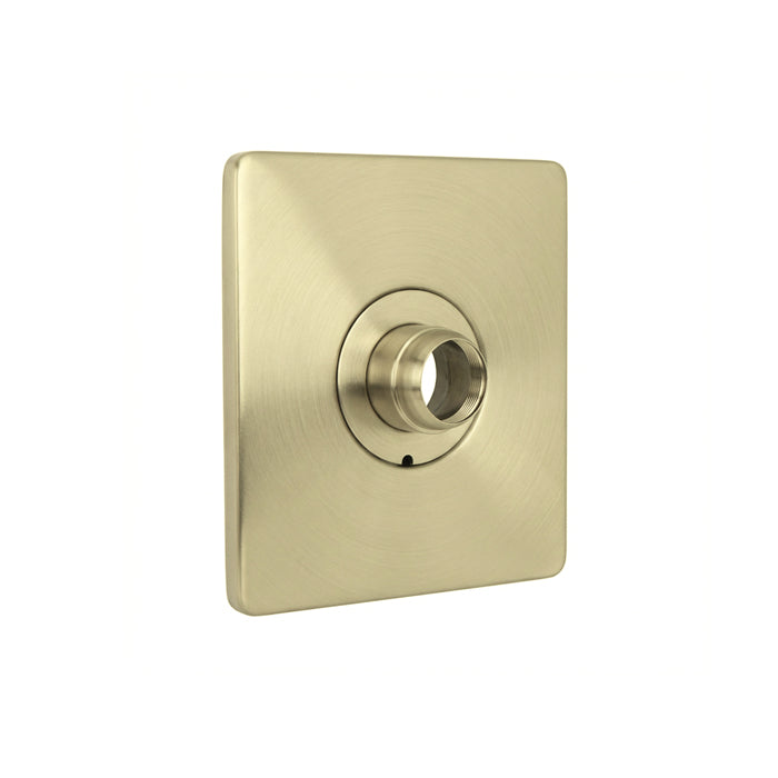 Shower Valve Trim