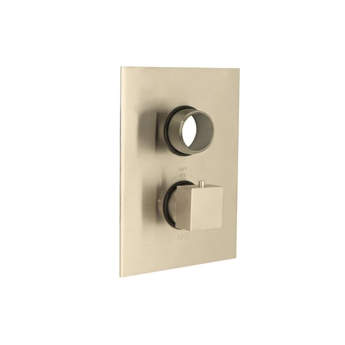 Thermostatic Face Plate Trim