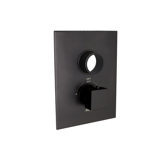 Thermostatic Face Plate Trim