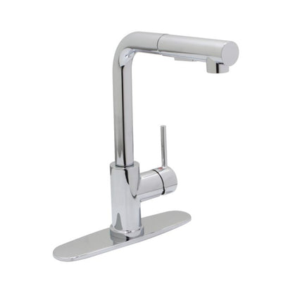 Euro Curve Kitchen Faucet